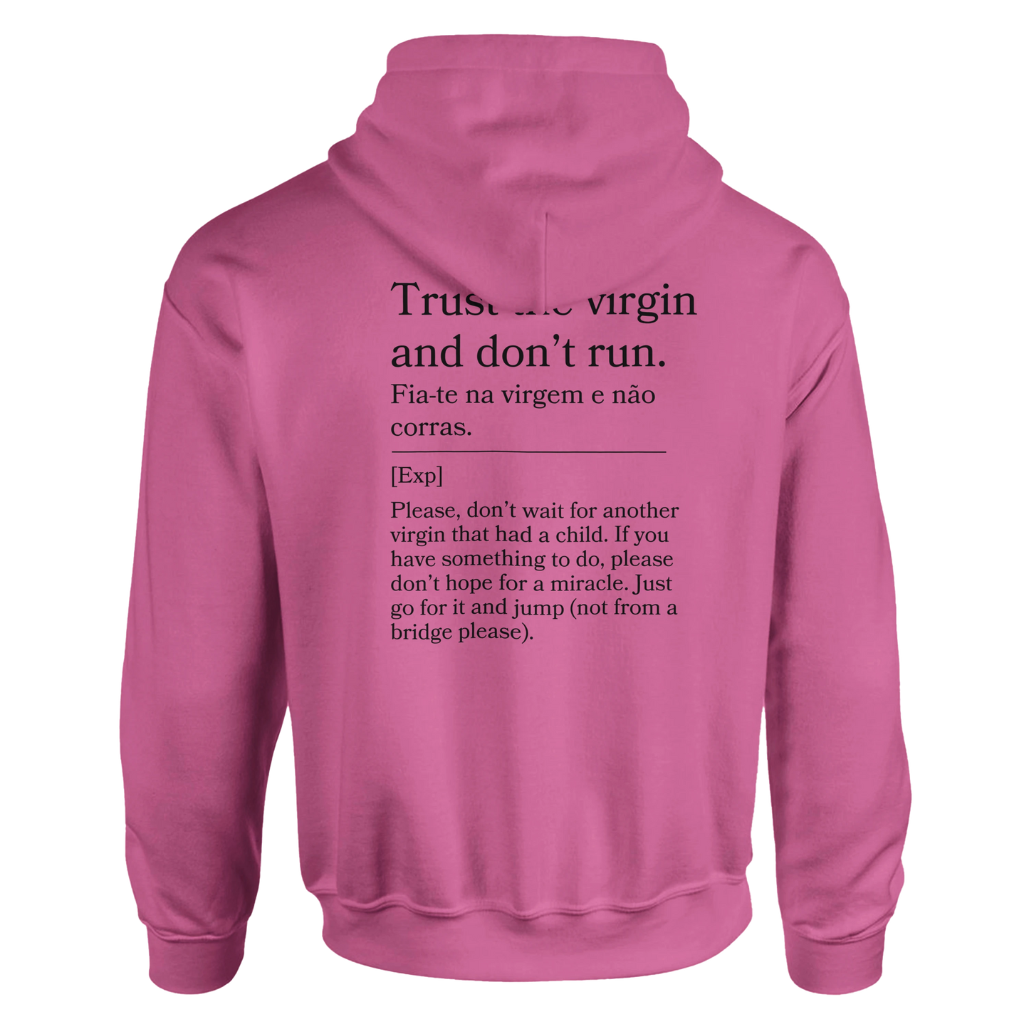 Trust the virgin and don't run - Hoodie