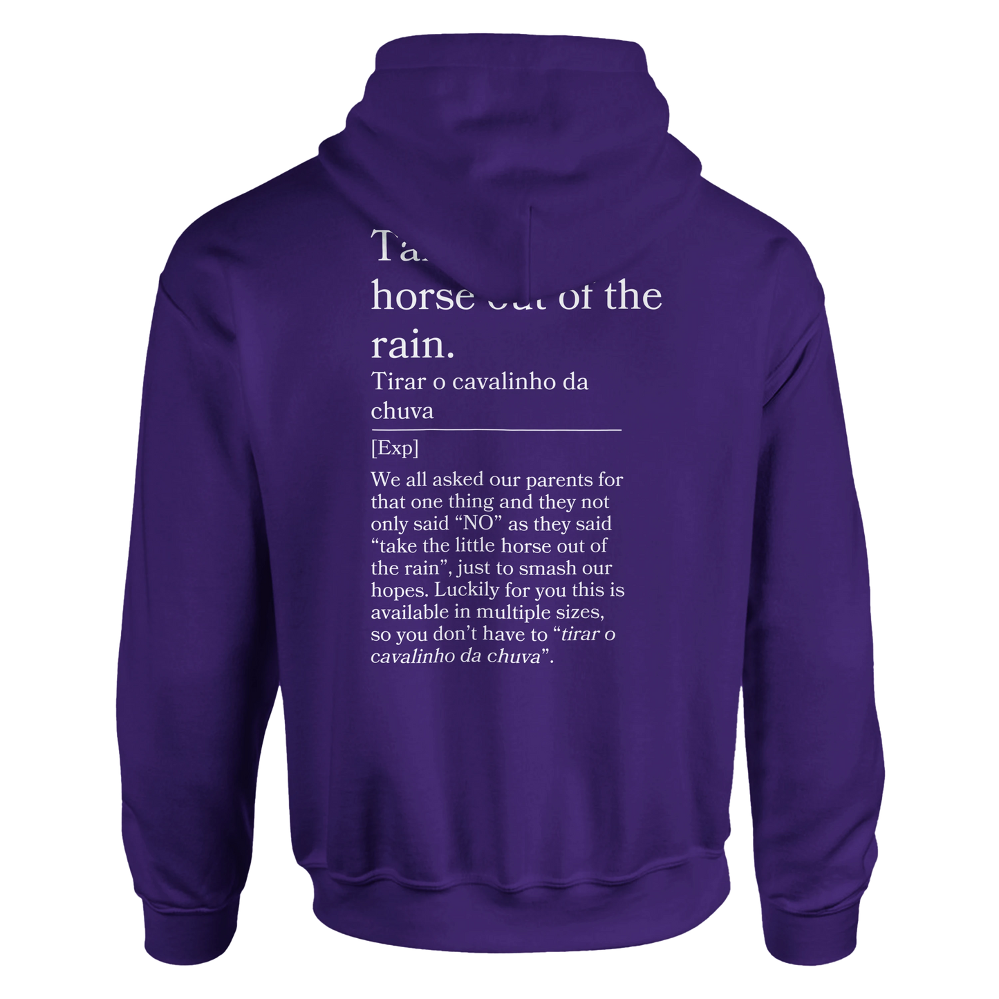 Take the little horse out of the rain - Hoodie