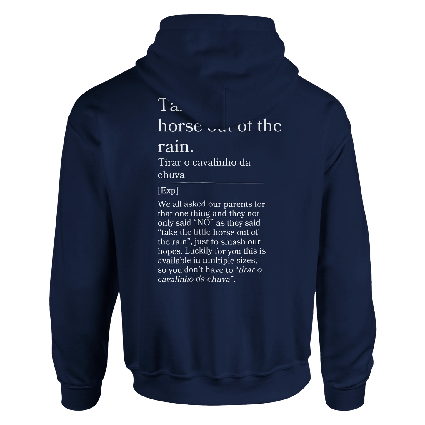 Take the little horse out of the rain - Hoodie
