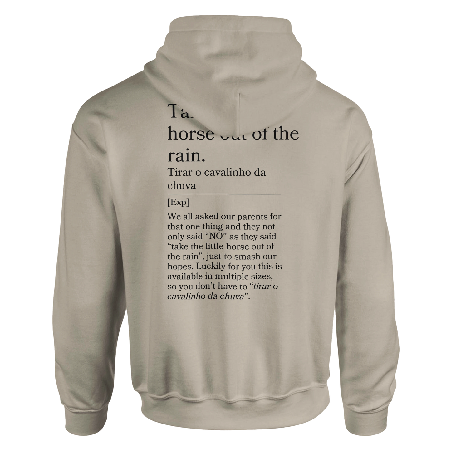Take the little horse out of the rain - Hoodie