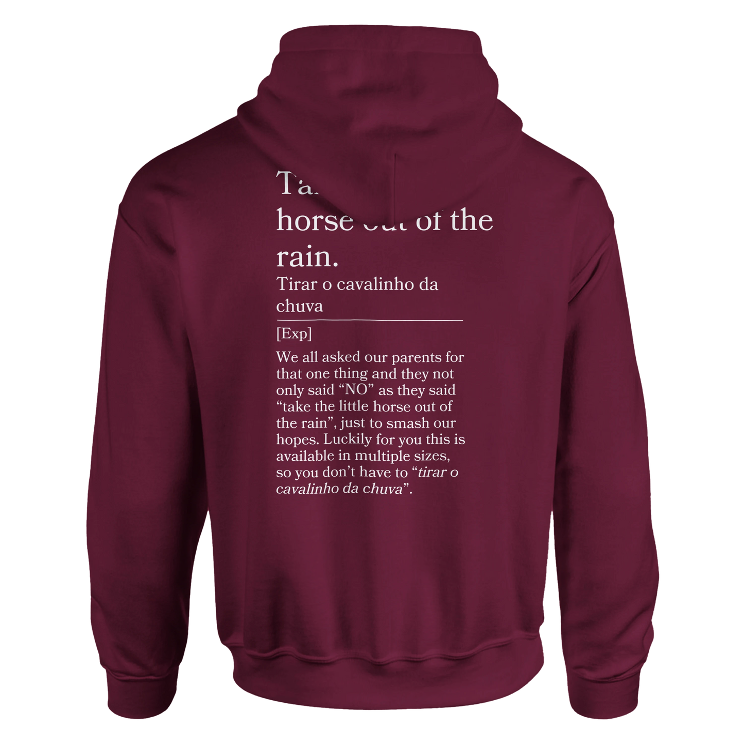 Take the little horse out of the rain - Hoodie