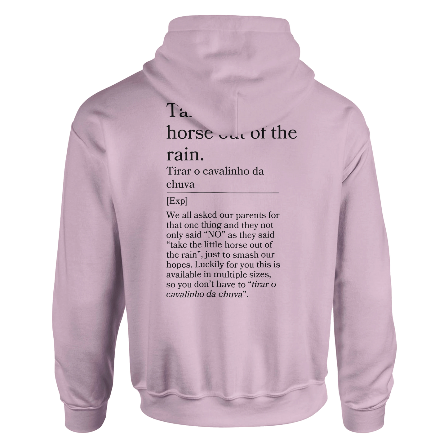 Take the little horse out of the rain - Hoodie