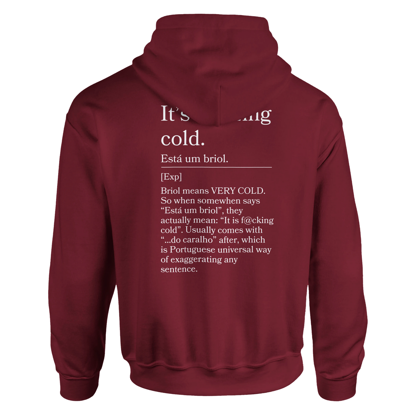 It's Freezing Cold - Hoodie