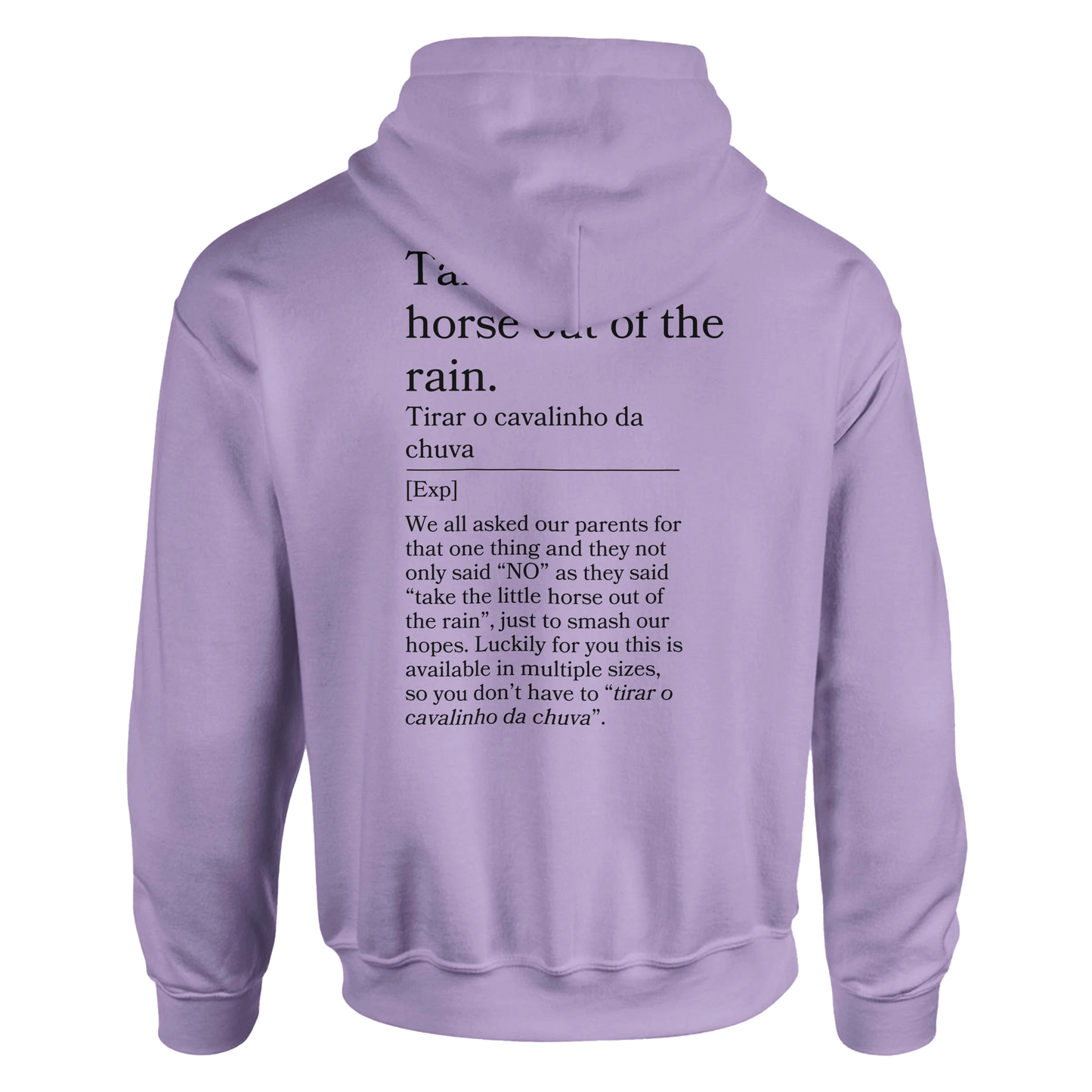 Take the little horse out of the rain - Hoodie
