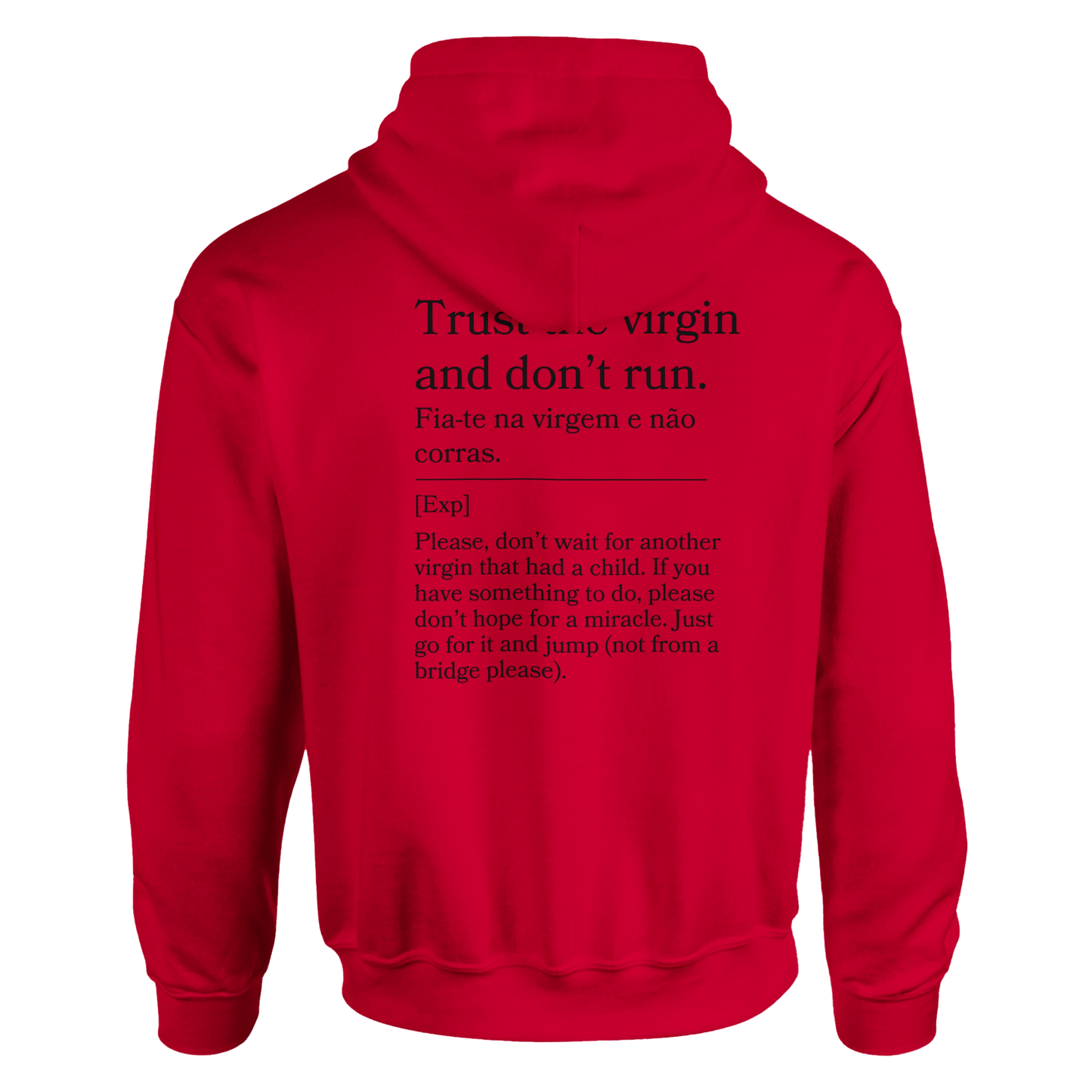 Trust the virgin and don't run - Hoodie