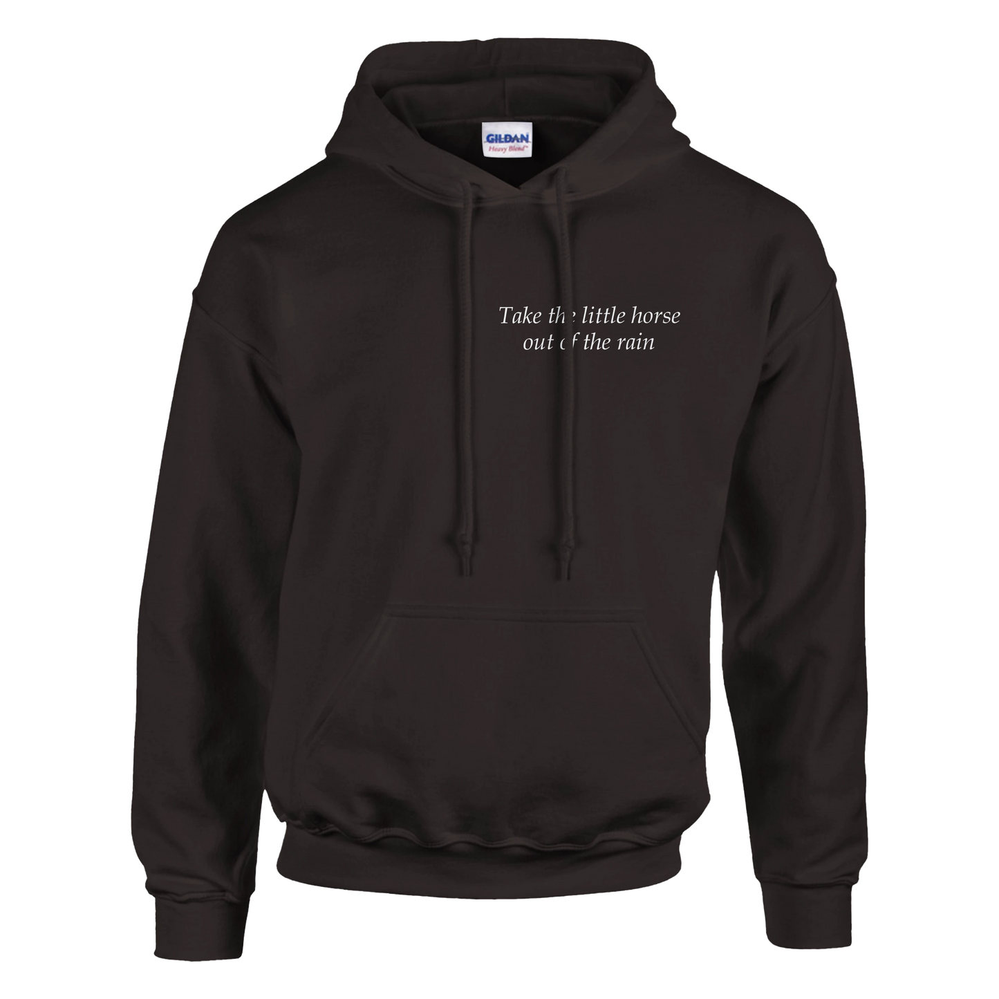 Take the little horse out of the rain - Hoodie