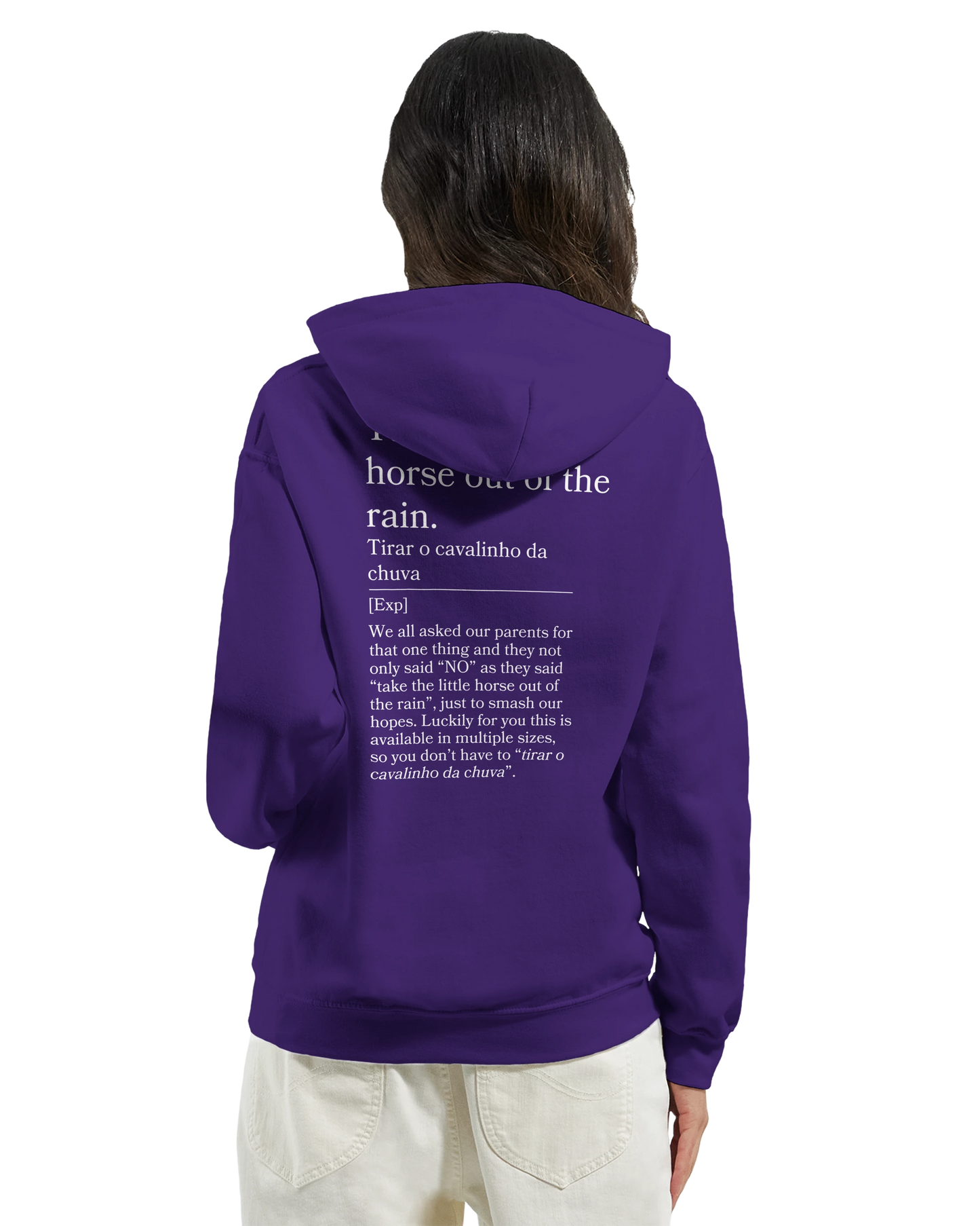 Take the little horse out of the rain - Hoodie