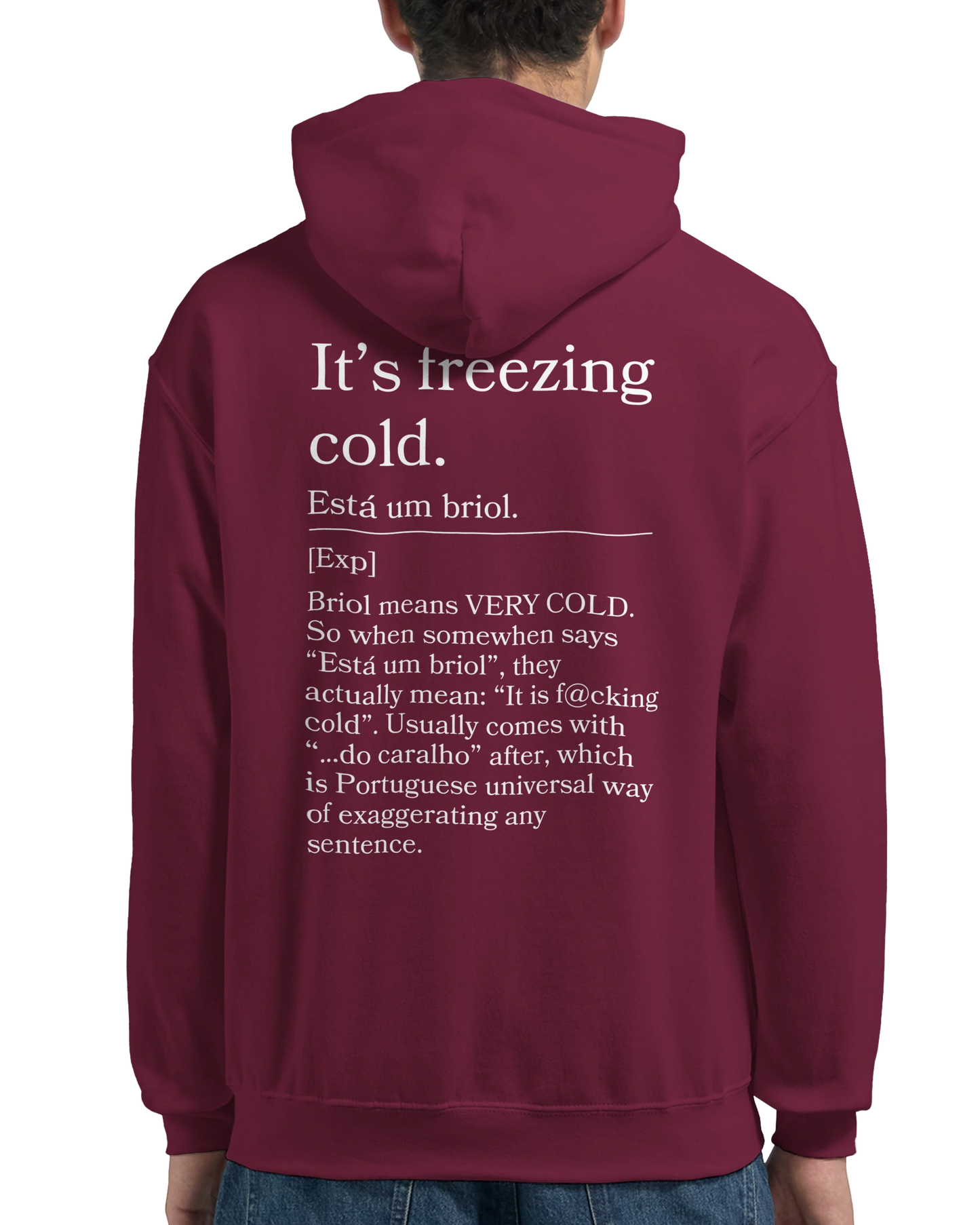 It's Freezing Cold - Hoodie