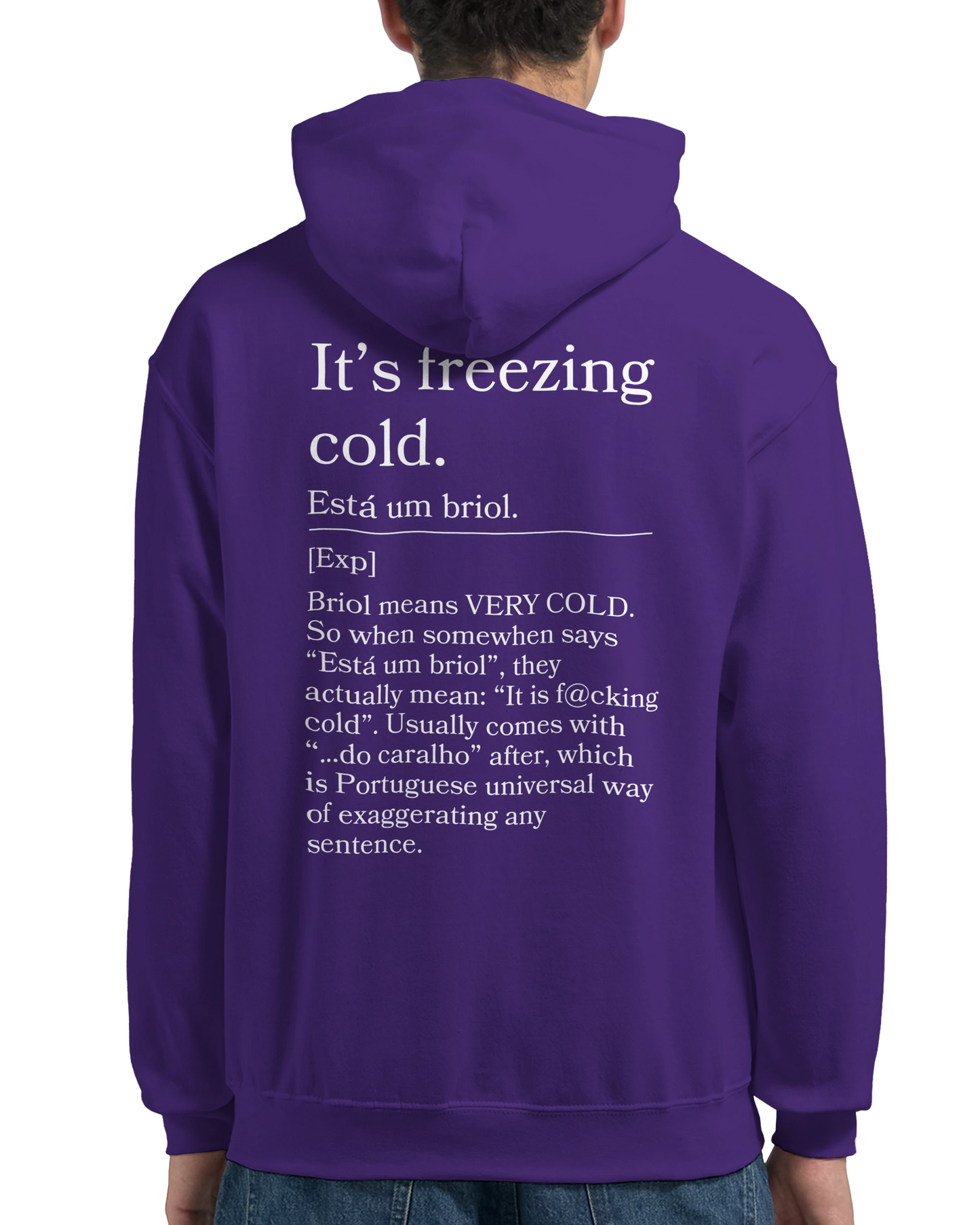 It's Freezing Cold - Hoodie