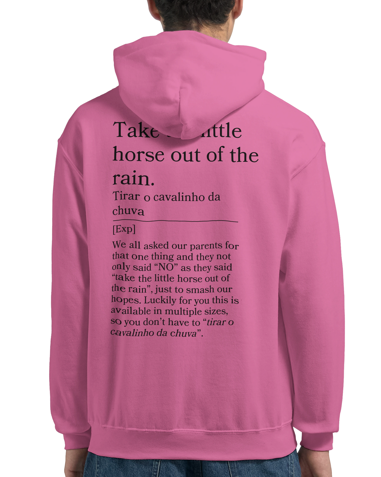 Take the little horse out of the rain - Hoodie