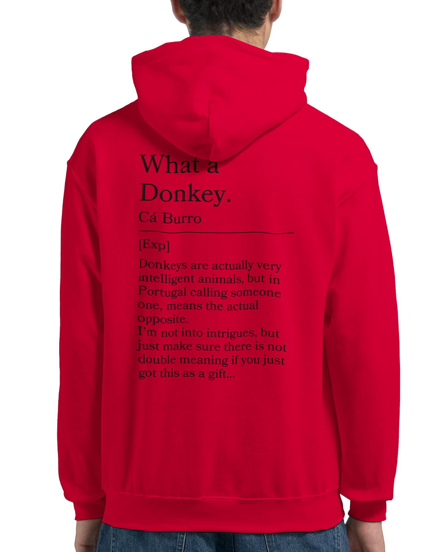 What a donkey - Hoodie