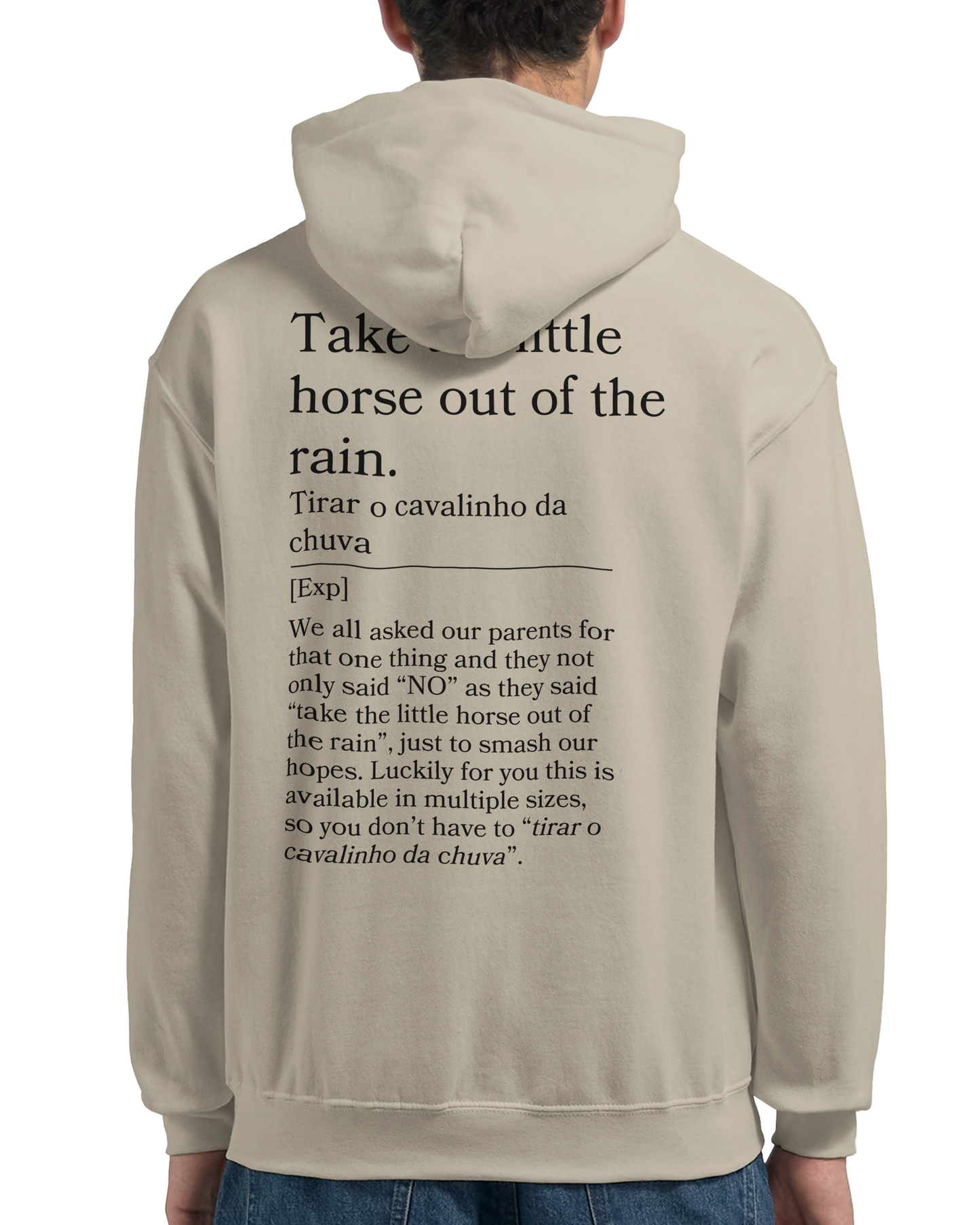 Take the little horse out of the rain - Hoodie