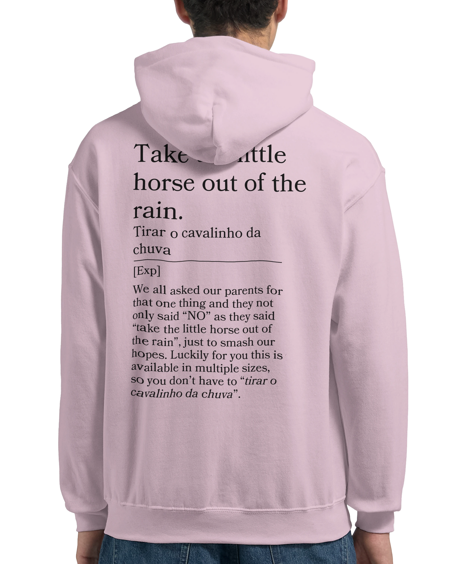 Take the little horse out of the rain - Hoodie