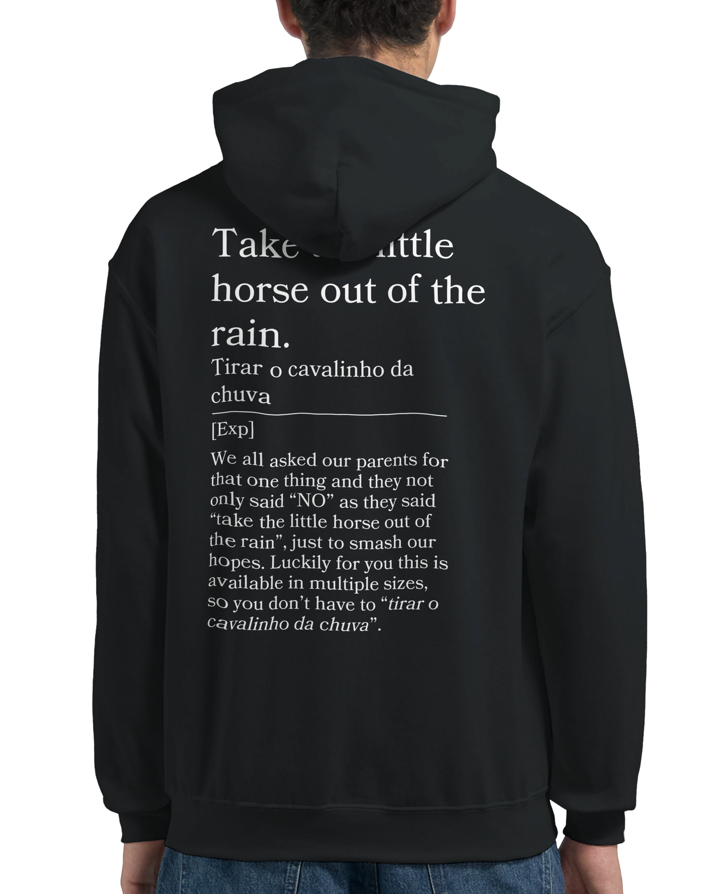 Take the little horse out of the rain - Hoodie