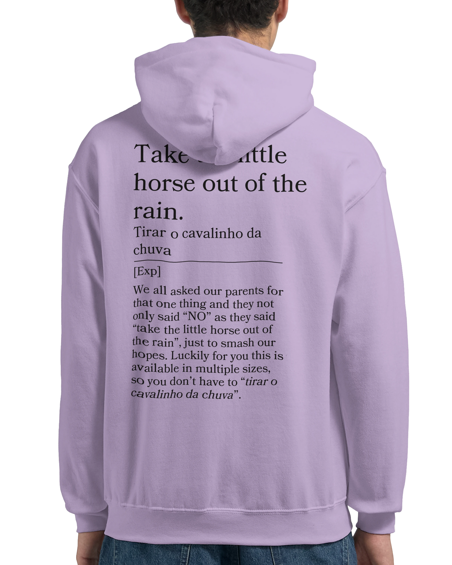 Take the little horse out of the rain - Hoodie