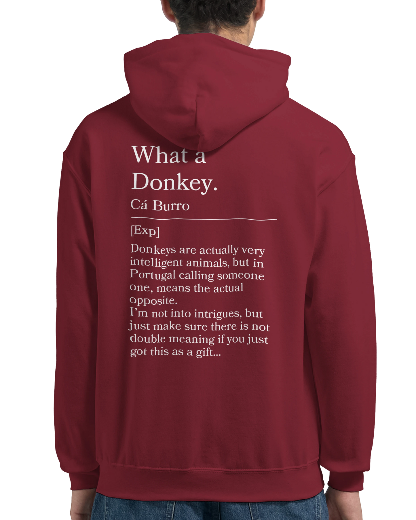 What a donkey - Hoodie