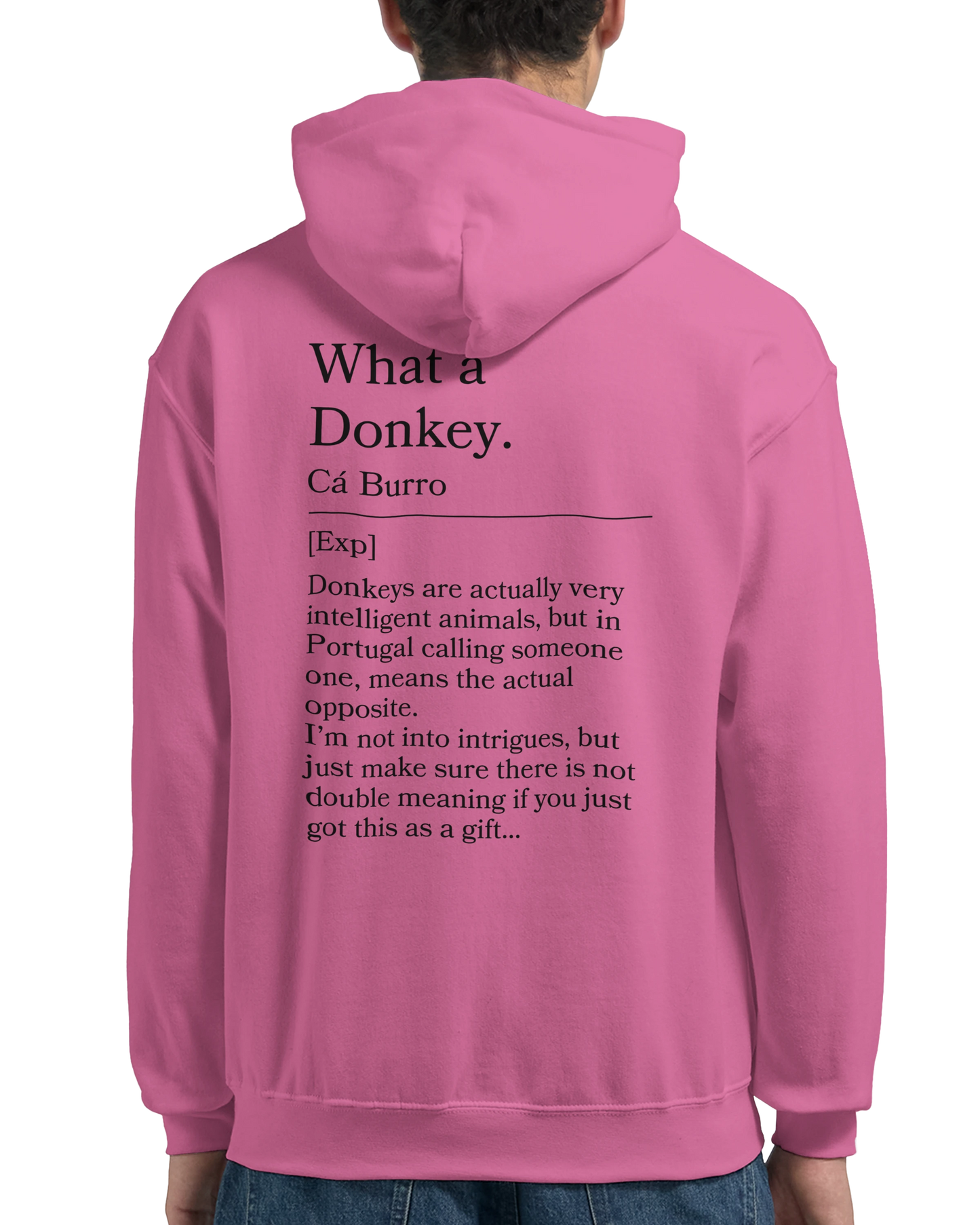 What a donkey - Hoodie