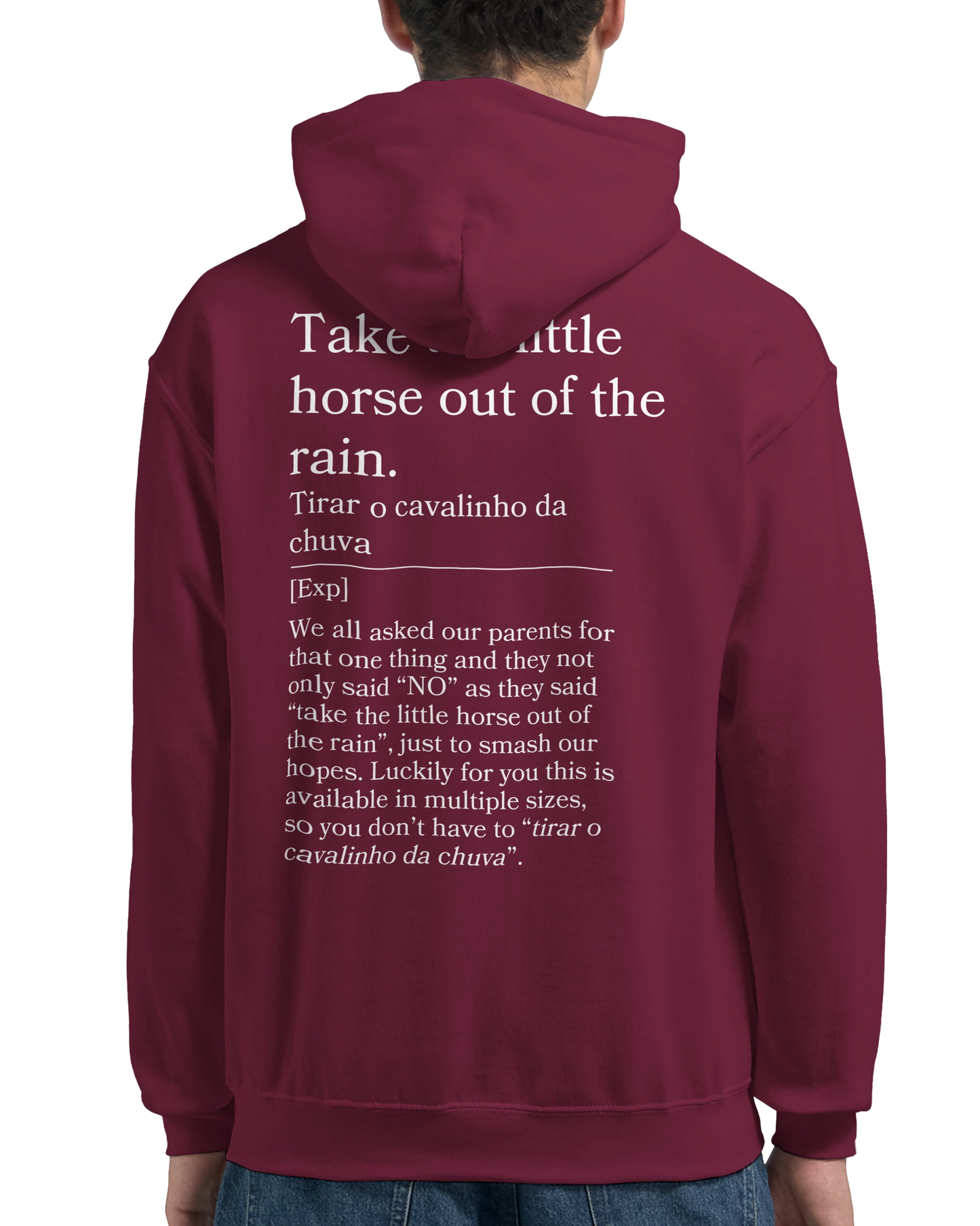 Take the little horse out of the rain - Hoodie