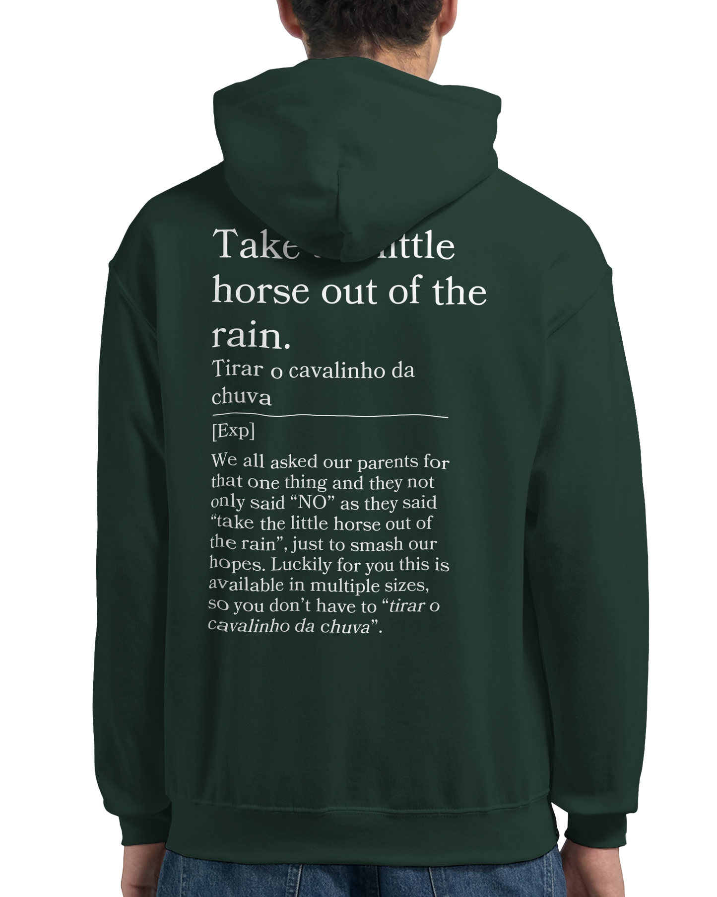 Take the little horse out of the rain - Hoodie