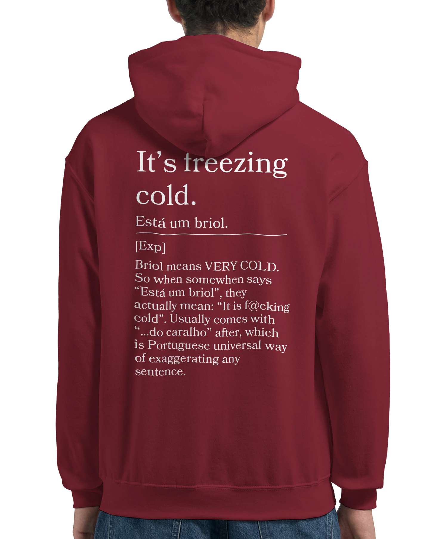 It's Freezing Cold - Hoodie
