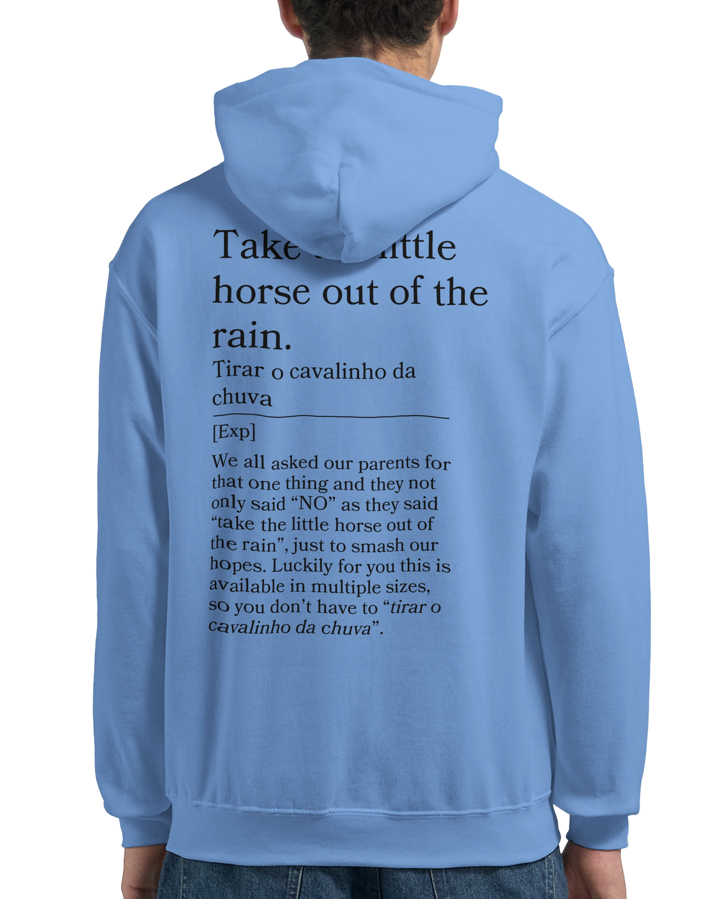 Take the little horse out of the rain - Hoodie