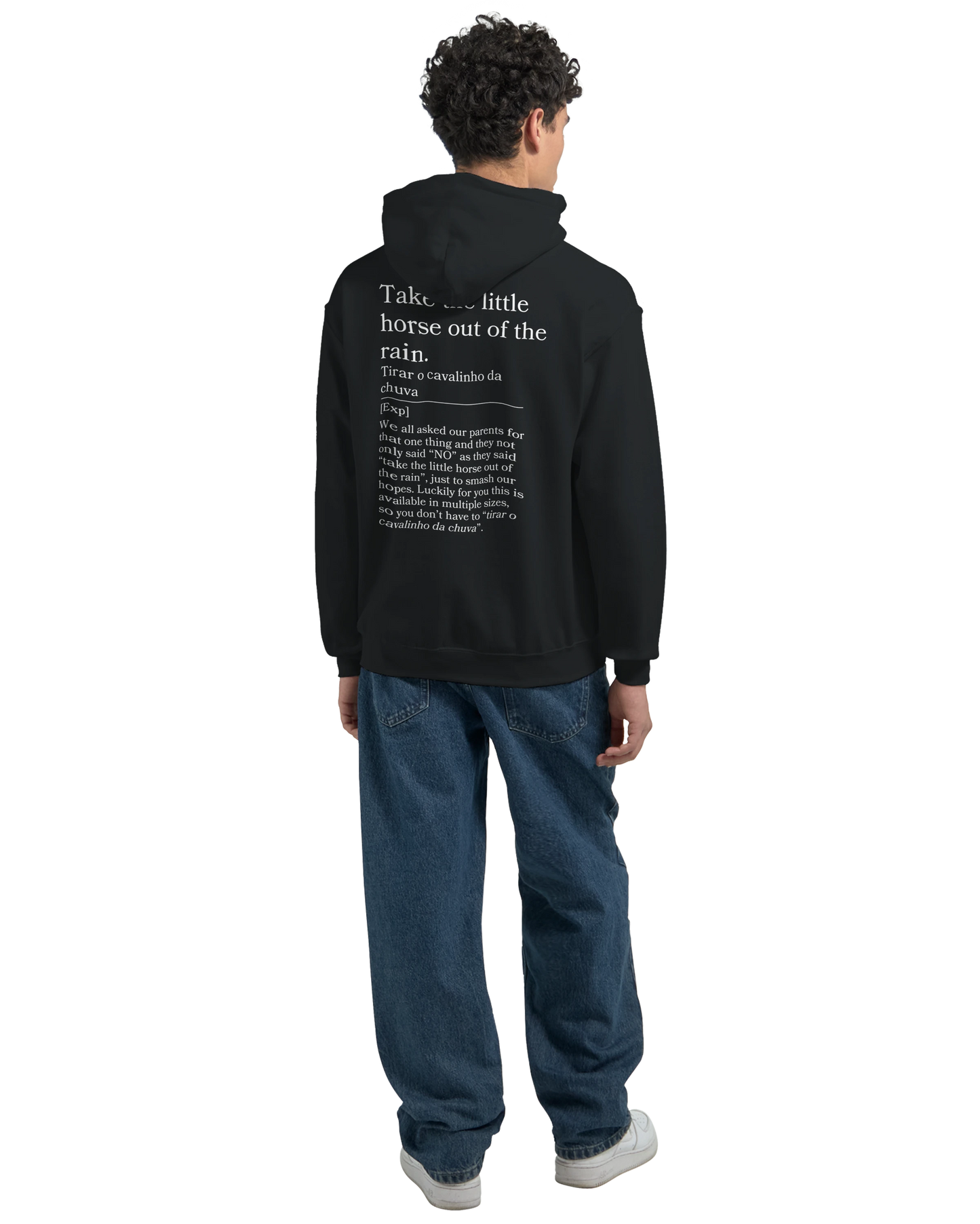 Take the little horse out of the rain - Hoodie