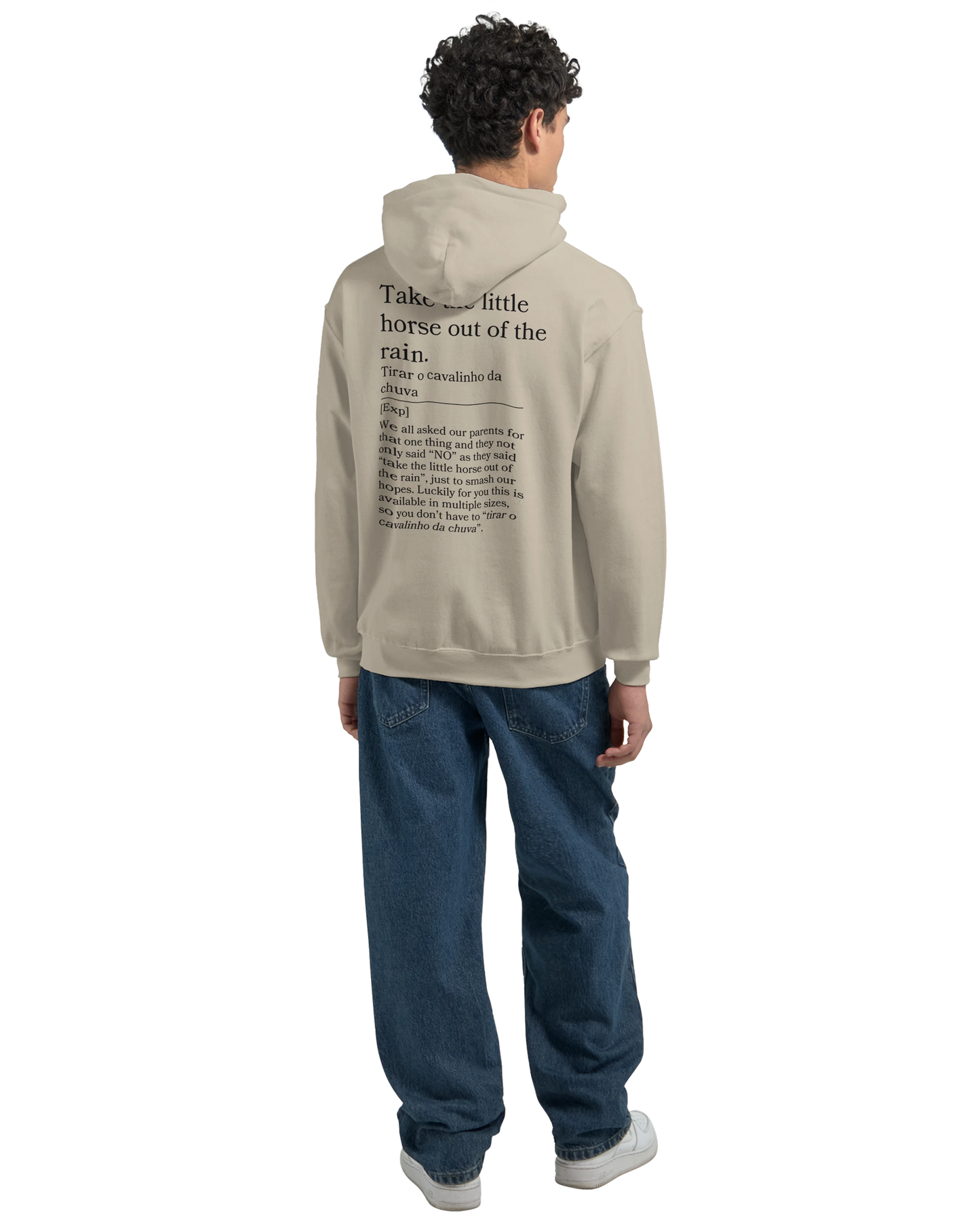 Take the little horse out of the rain - Hoodie
