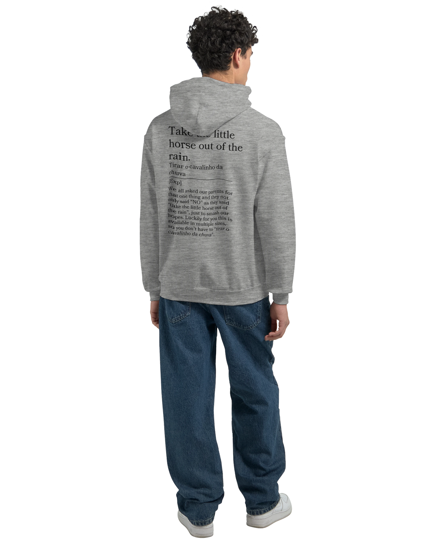 Take the little horse out of the rain - Hoodie