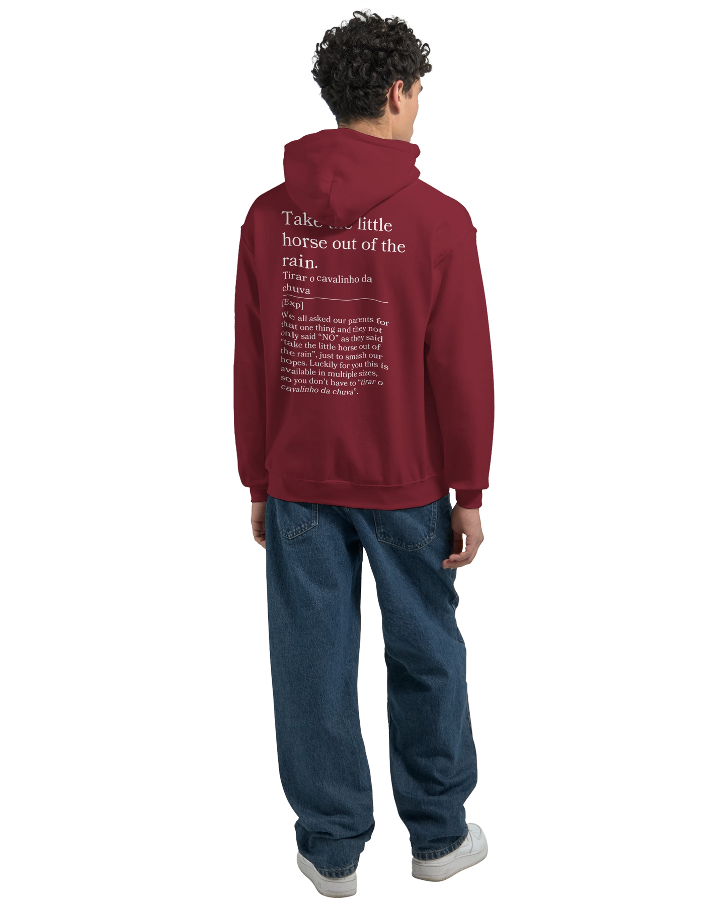 Take the little horse out of the rain - Hoodie