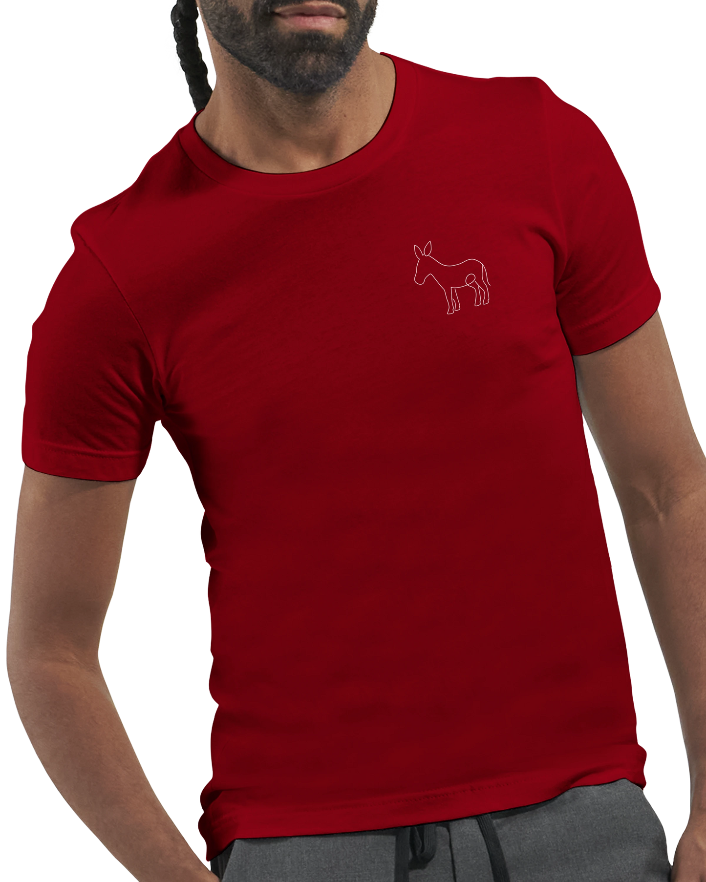 What a Donkey! - T-shirt